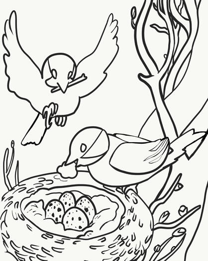 digital semi realism chickadee building nest line art colouring page