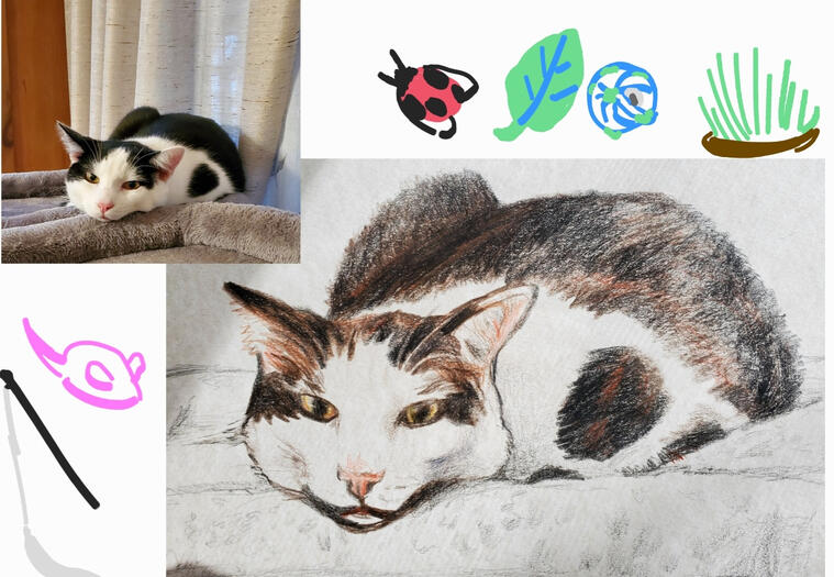 pet portrait referenced by photo traditional pencil crayon tuxedo cat lying on bed semi realism